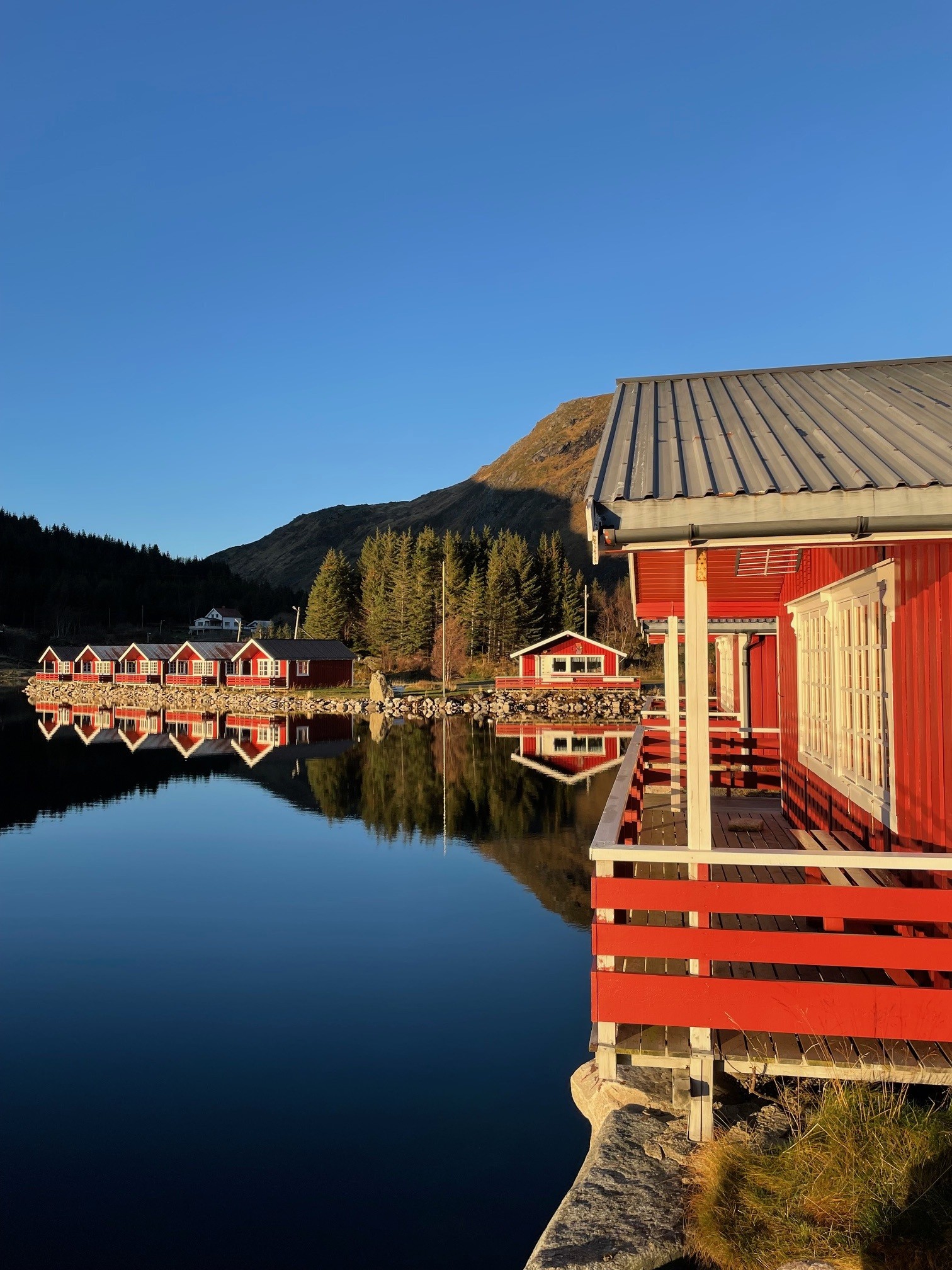 Cabins